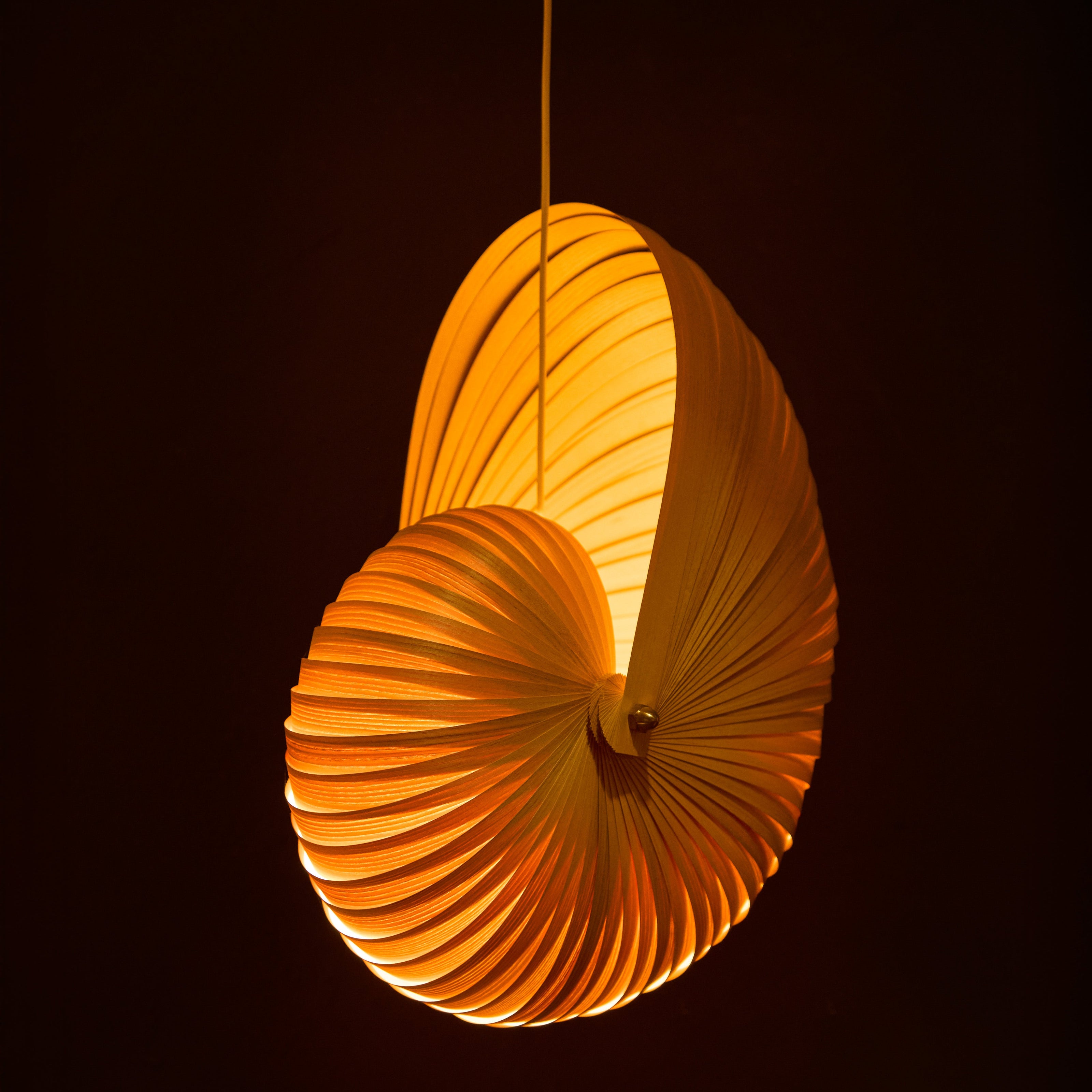 flacoFibonacci